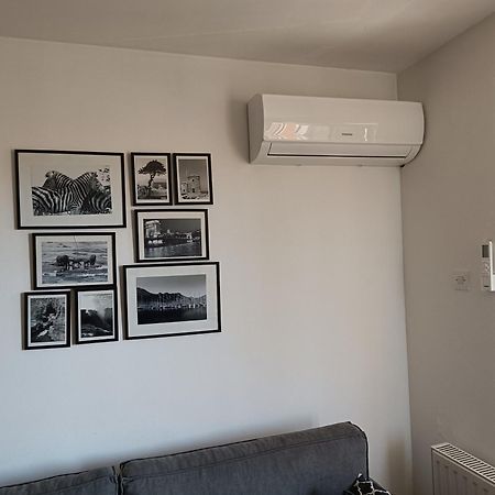 Apartment Igor Lukavica Bagian luar foto