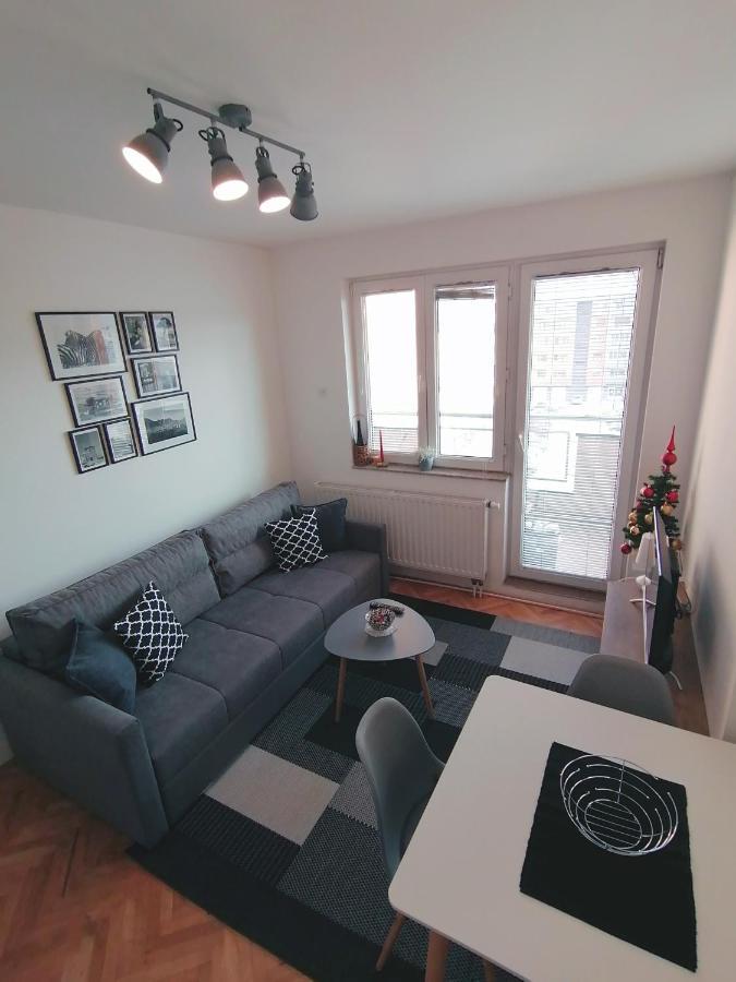 Apartment Igor Lukavica Bagian luar foto